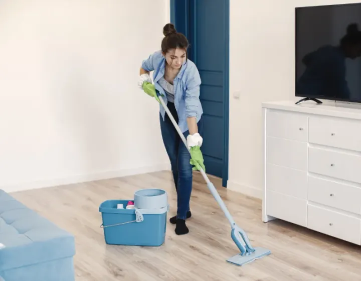 Femme de ménage Séron